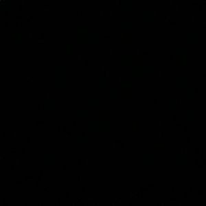 Meet your Posher, Pinky